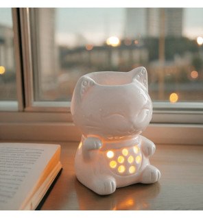  ambiance zen avec le brûle-parfum céramy tommy allumé près de plantes vertes