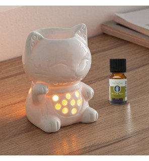  détail de la coupelle du brûle-parfum remplie d’eau parfumée