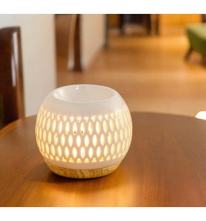  mise en scène du brûle-parfum sur une étagère avec des plantes vertes