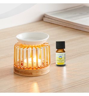  brûle-parfum en situation sur une étagère avec des plantes vertes