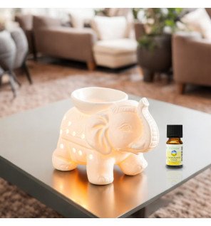  détail du brûle-parfum céramique blanc avec motif éléphant vu de près