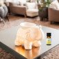 Tandor Blanc - Brûle-Parfum Céramy éléphant