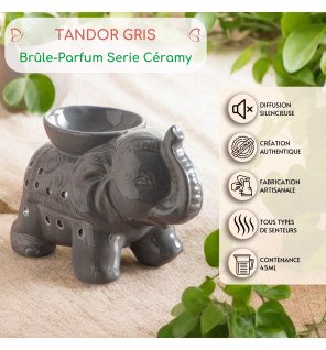  brûle-parfum éléphant gris placé près de coussins pour une atmosphère relaxante