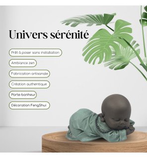  détail du visage paisible du bonze ronfleur pour inviter à la relaxation