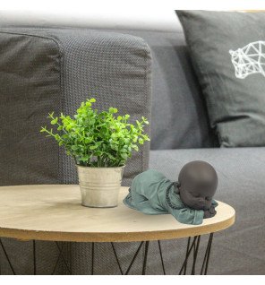 Zenaterra-Décoration