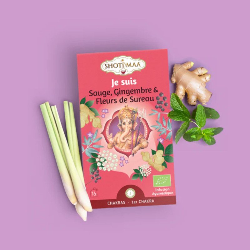 Tisane Bio Je Suis - Énergétiques, Équilibre et Bien-Être - Matinale