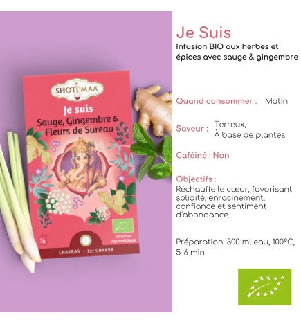 Tisane Bio Je Suis - Énergétiques, Équilibre et Bien-Être - Matinale