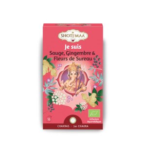  détail du mélange de plantes séchées bio pour infusion énergisante et équilibrante sans caféine