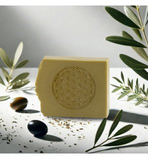 Shampoing bio fleur de vie – Soin écoresponsable