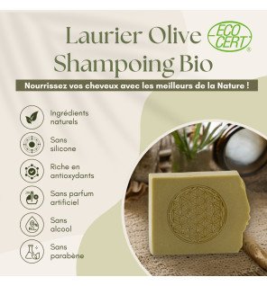  shampoing écoresponsable présenté avec des accessoires de bain en bois pour un style écologique