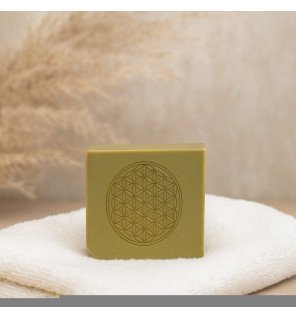  bouteille de shampoing bio sur un fond neutre mettant en valeur son packaging épuré