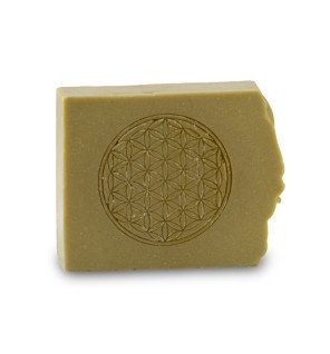  shampoing bio présenté dans une lumière douce pour souligner son aspect sensoriel et apaisant