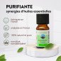 Purifiante - Synergie d'huiles essentielles - 10 ml