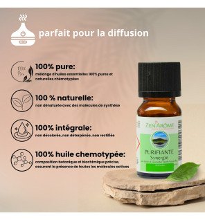  synergie d'huiles essentielles purifiante 10 ml ambiance détente dans un salon moderne