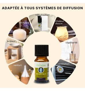  flacon d'huile essentielle 10 ml avec bouchon compte-gouttes pour une utilisation facile
