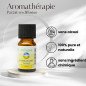 Energisante - Synergie d'huiles essentielles - 10 ml Energisante - Synergie d'huiles essentielles - 10 ml