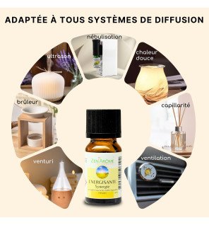  synergie d'huiles essentielles energisante sur fond blanc épuré pour mettre en valeur la couleur dorée du liquide