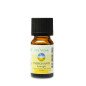 Energisante - Synergie d'huiles essentielles - 10 ml Energisante - Synergie d'huiles essentielles - 10 ml
