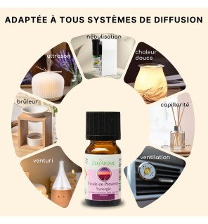  synergie d'huiles essentielles 10 ml sur un plateau en bois avec des herbes aromatiques