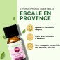 Escale en Provence - Synergie d'huiles essentielles - 10 ml Escale en Provence - Synergie d'huiles essentielles - 10 ml