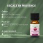 Escale en Provence - Synergie d'huiles essentielles - 10 ml Escale en Provence - Synergie d'huiles essentielles - 10 ml