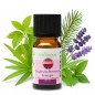 Escale en Provence - Synergie d'huiles essentielles - 10 ml Escale en Provence - Synergie d'huiles essentielles - 10 ml