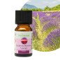 Escale en Provence - Synergie d'huiles essentielles - 10 ml Escale en Provence - Synergie d'huiles essentielles - 10 ml