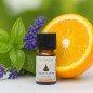 Méditation - Synergie d'huiles essentielles - 10 ml