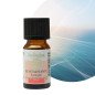 Revitalisante - Synergie d'huiles essentielles - 10 ml