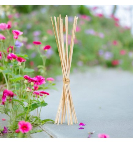 Zenaterra-Capillarité