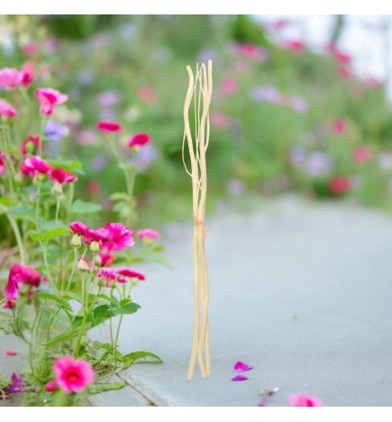 Zenaterra-Capillarité