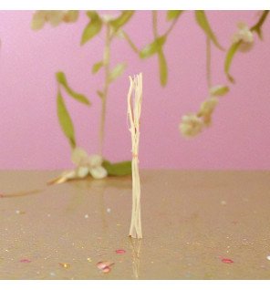 Lot de 3 Tiges en Rotin avec branches pour Diffuseur par capillarité