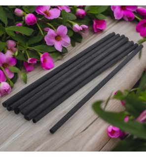 Zenaterra-Capillarité