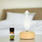 Bao - Diffuseur d'huiles essentielles par nébulisation