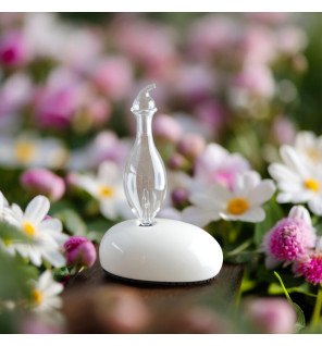 Zenaterra-Nébulisation