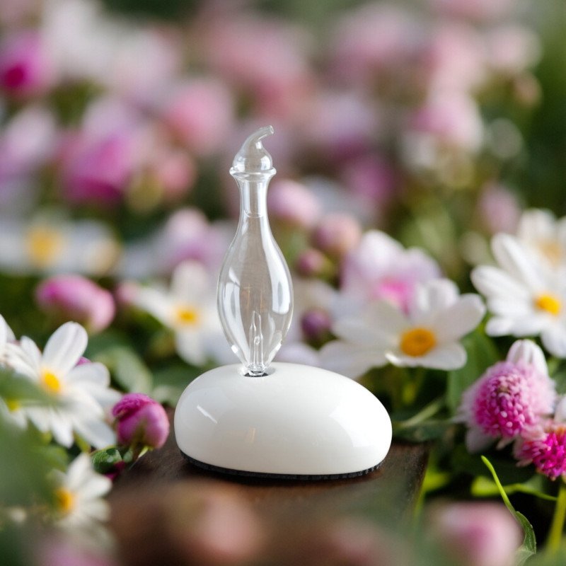 Dan - Diffuseur d'huiles essentielles par nébulisation