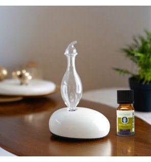  diffuseur d’huiles essentielles dan à côté d’un flacon d’huile essentielle prêt à l’emploi