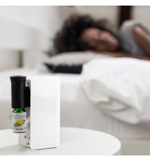  diffuseur posé près d’une fenêtre avec lumière naturelle pour une ambiance sereine