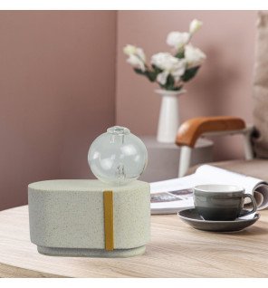  diffuseur d'huiles essentielles en bois et verre posé sur une étagère avec des plantes vertes