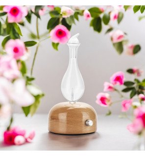 Zenaterra-Nébulisation