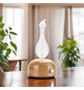  diffuseur d’huiles essentielles sur une étagère avec des plantes vertes pour une touche naturelle