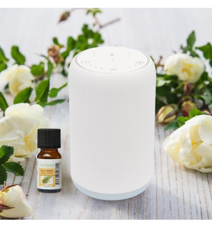 Zenaterra-Nébulisation