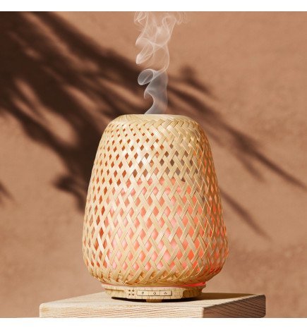 Zenaterra-Ultrasonique