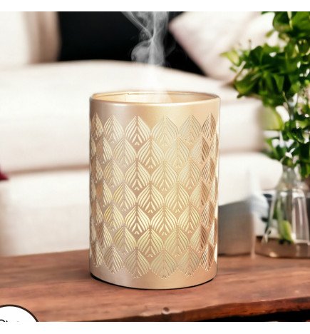 Zenaterra-Ultrasonique