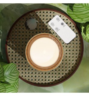  diffuseur vienne placé sur un bureau avec une plante verte à côté