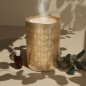 Vienne - Diffuseur d'huiles essentielles avec télécommande