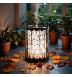 Zenaterra-Ultrasonique