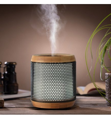 Zenaterra-Ultrasonique