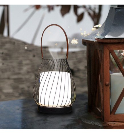 Zenaterra-Nomade Sans Fil