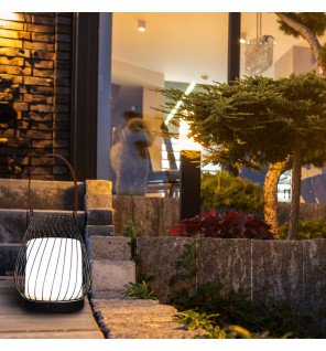  diffuseur milano accompagné de flacons d’huiles essentielles pour une expérience complète